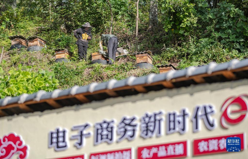 申慱娱乐试玩